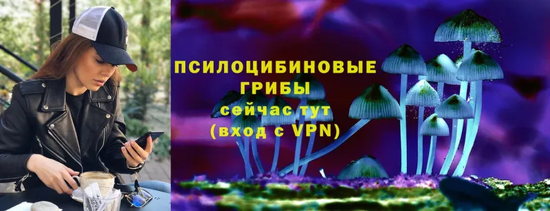 маркетплейс телеграм  продажа наркотиков  Воркута  Галлюциногенные грибы GOLDEN TEACHER 